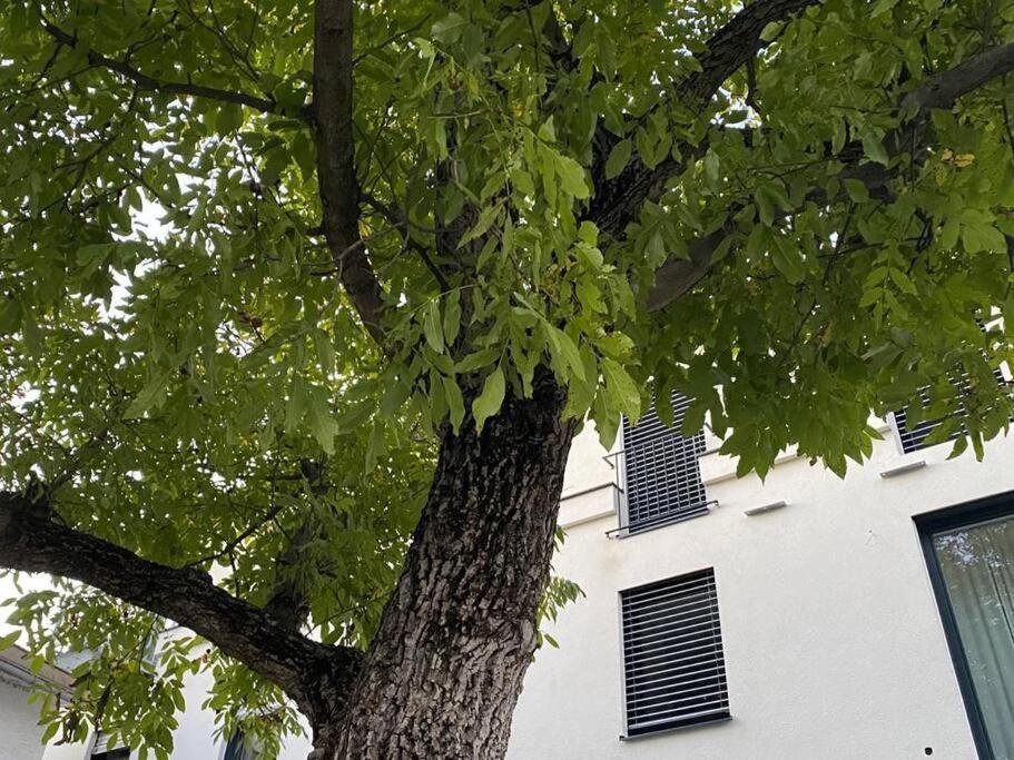 Wohnen Bahnstrasse 5 Apartment Klagenfurt am Woerthersee ภายนอก รูปภาพ